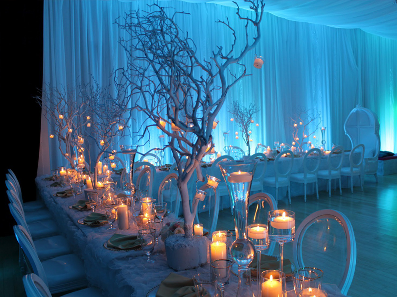 agra wedding planner